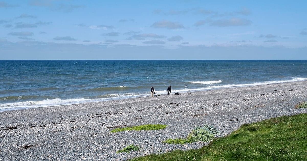 Beach Fishing for Beginners: A Complete Guide