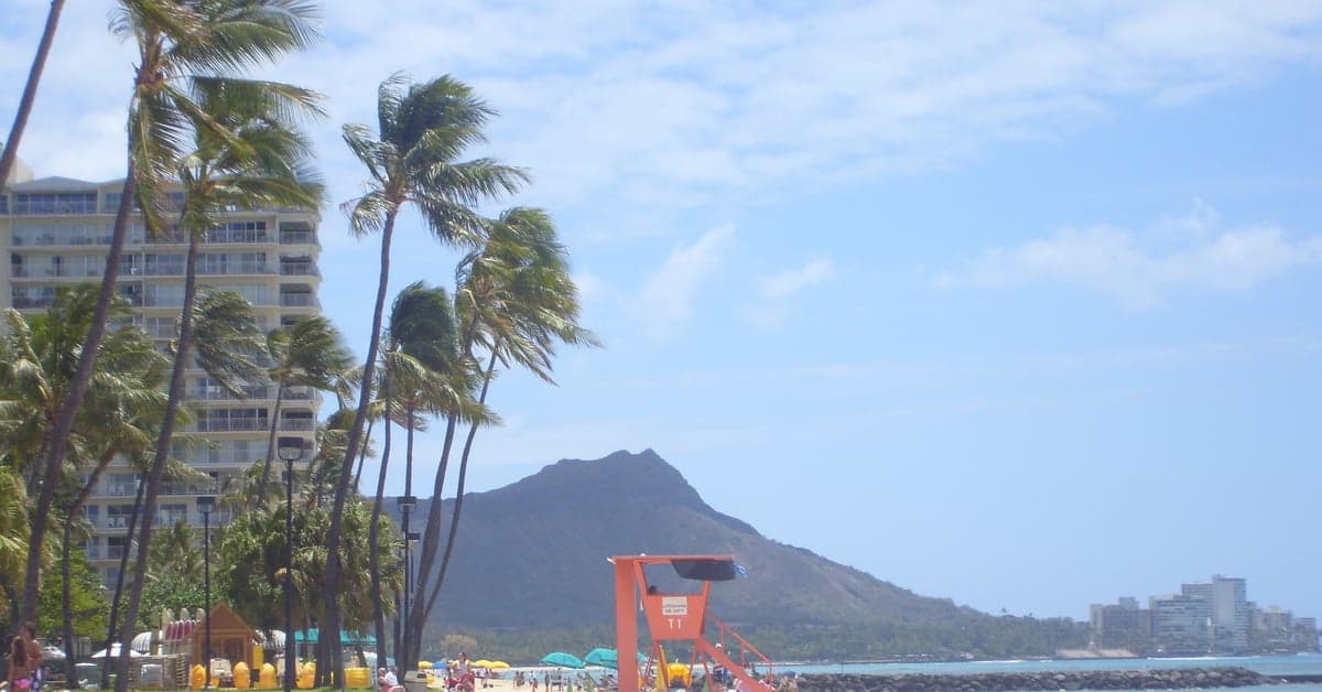 Best Surfing Beaches for Beginners Worldwide
