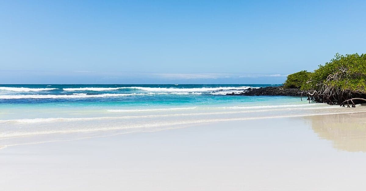 Tortuga Bay, Santa Cruz Island, Galápagos
