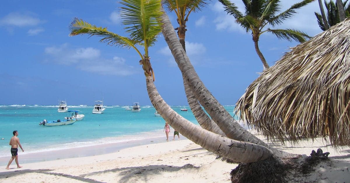 Coconut palms over Bávaro Beach, Punta Cana