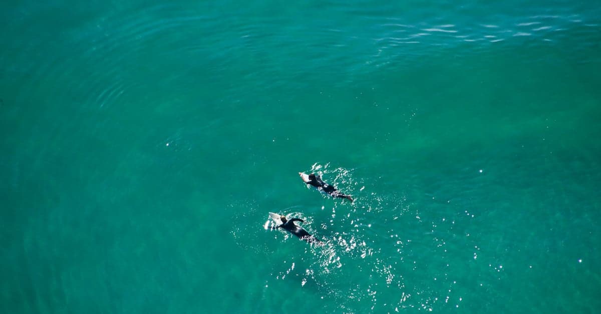 Surfing in Mexico (2026): 8 Beaches Ranked by Skill Level