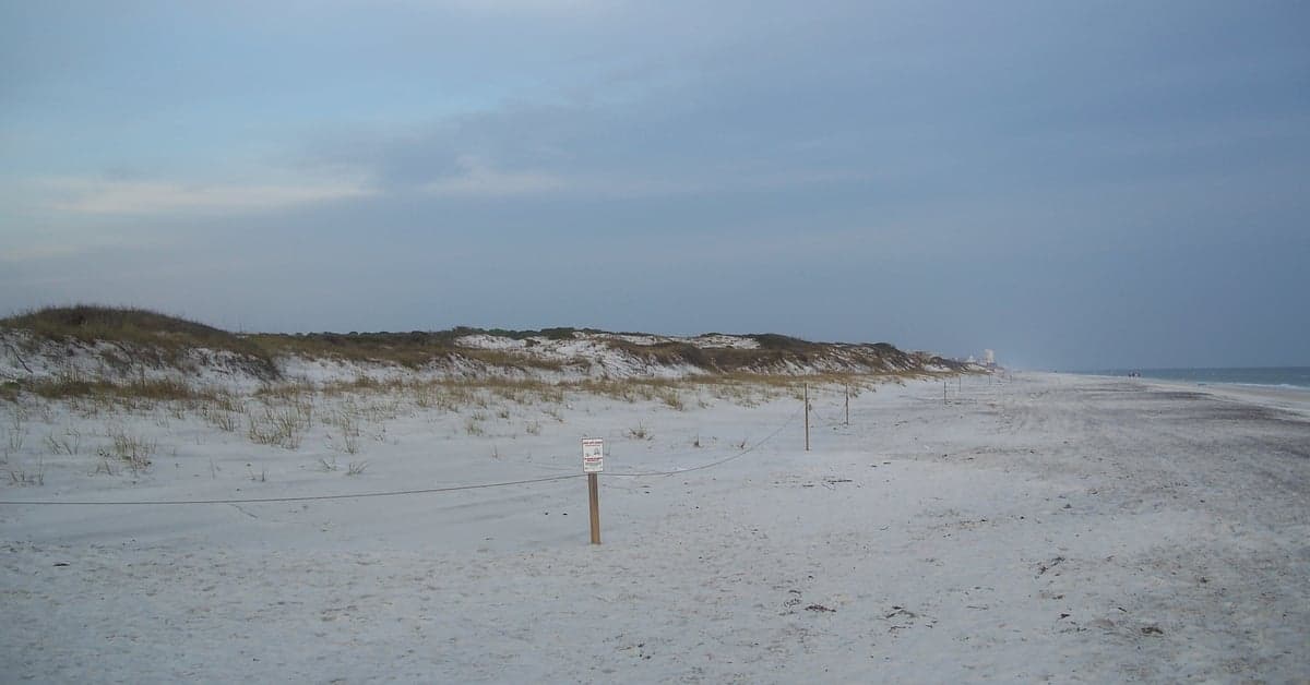 The Best Beaches in the Florida Panhandle