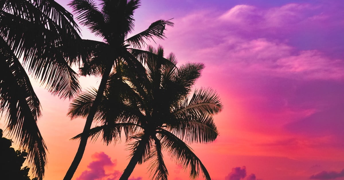 The Best Time to Book Cheap Flights to Tropical Destinations