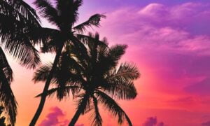 The Best Time to Book Cheap Flights to Tropical Destinations Best time to book cheap flights